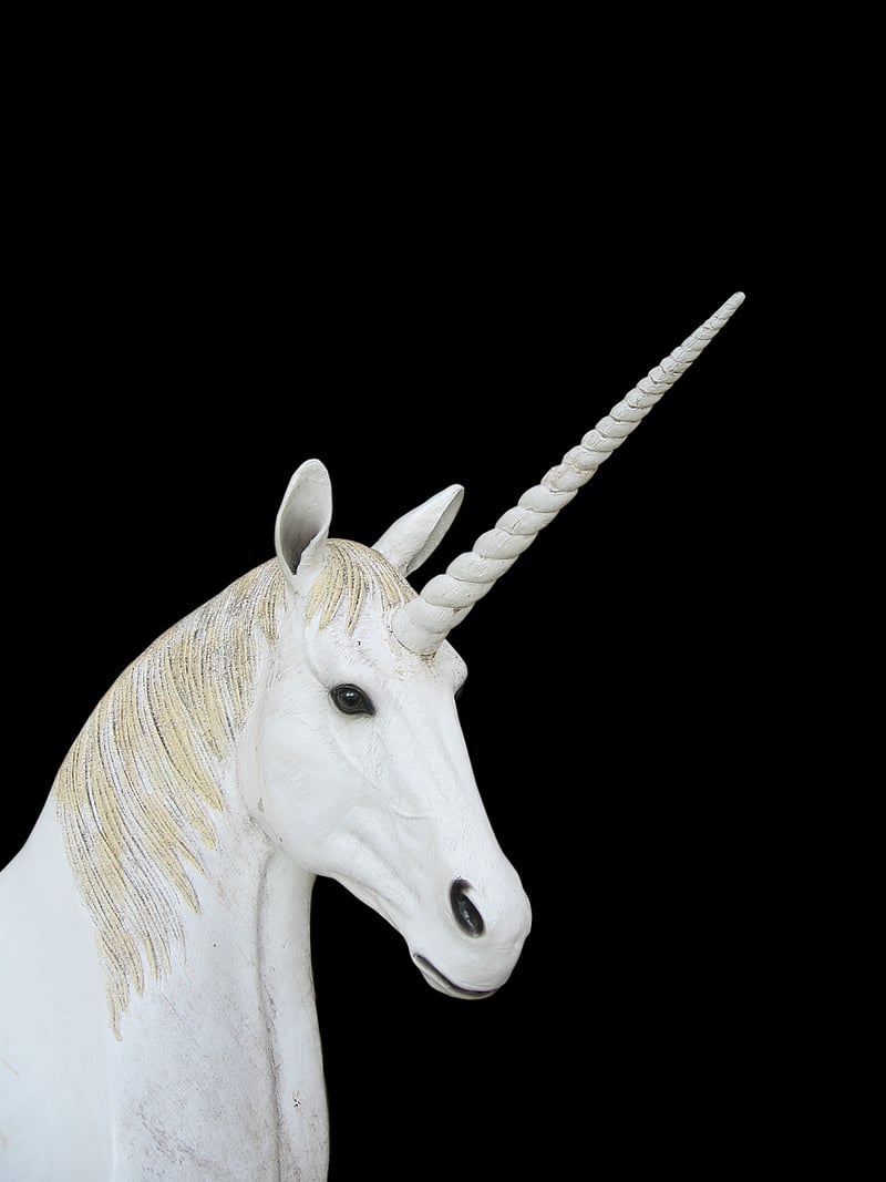 Unicorn Horn Art